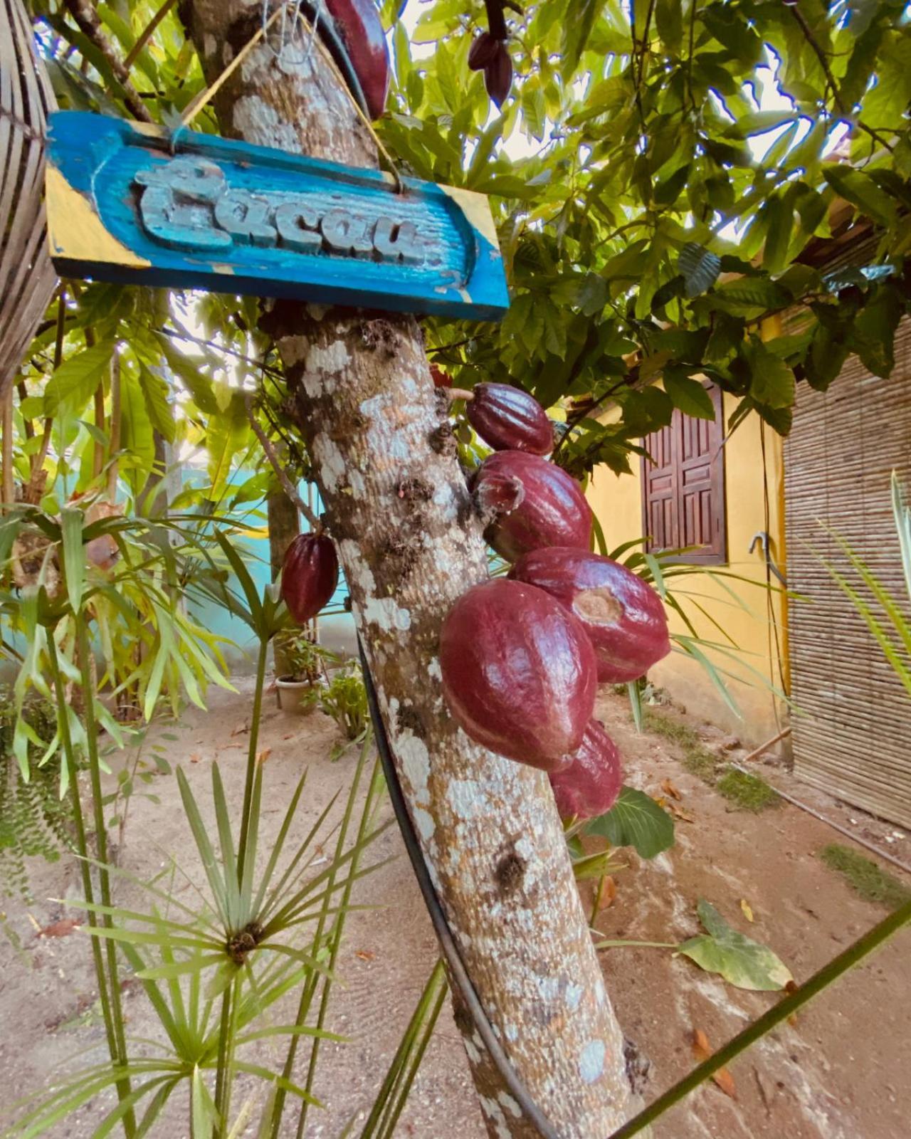 Caraiva Recanto Pousada De Ferias Luaran gambar